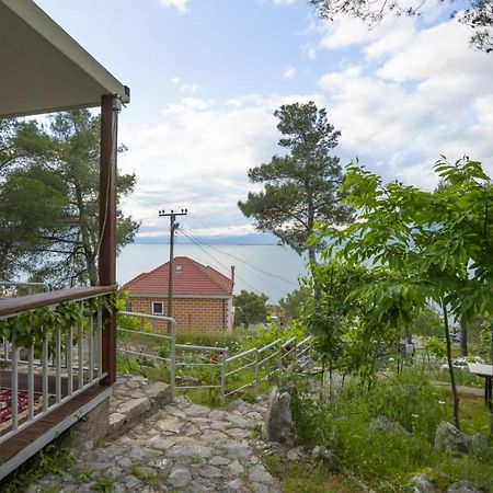 Among The Trees Villa Shiroka ภายนอก รูปภาพ