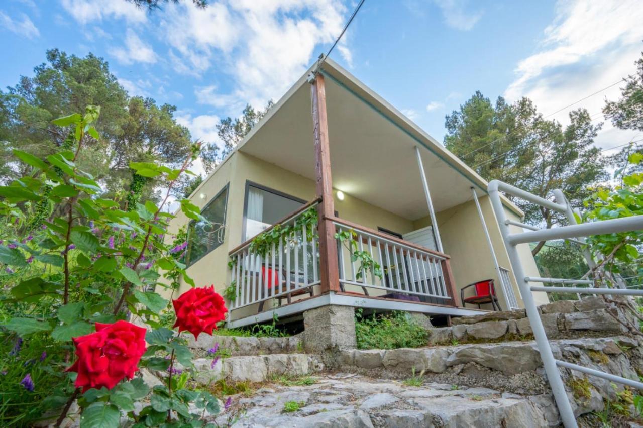 Among The Trees Villa Shiroka ภายนอก รูปภาพ