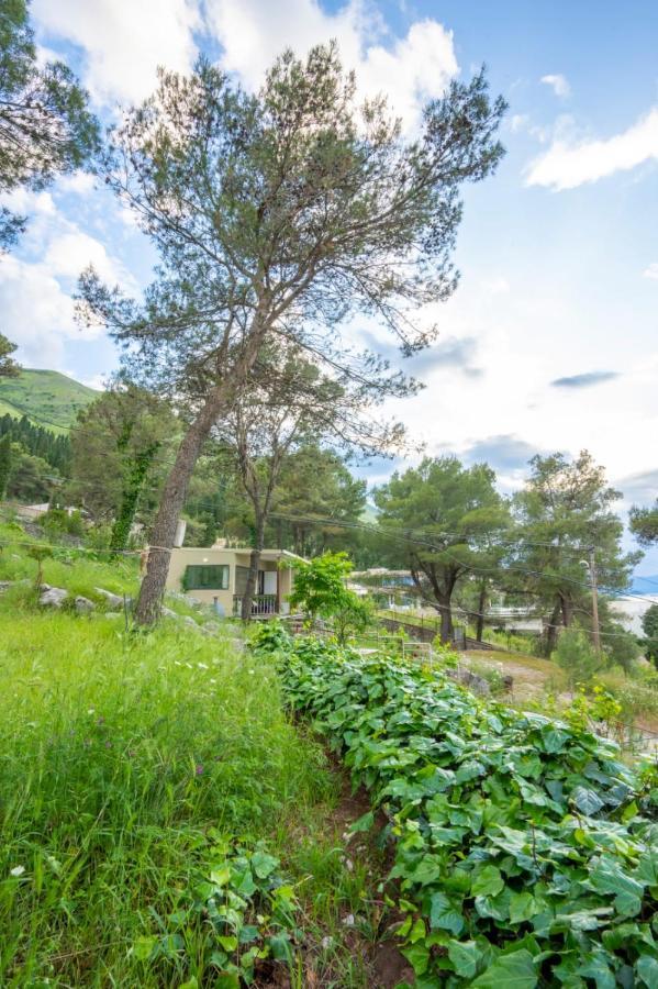 Among The Trees Villa Shiroka ภายนอก รูปภาพ