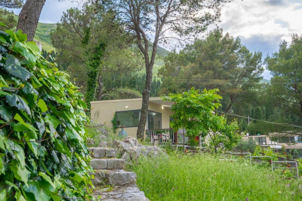 Among The Trees Villa Shiroka ภายนอก รูปภาพ